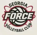 Force Volleyball logo