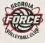 Force Volleyball
