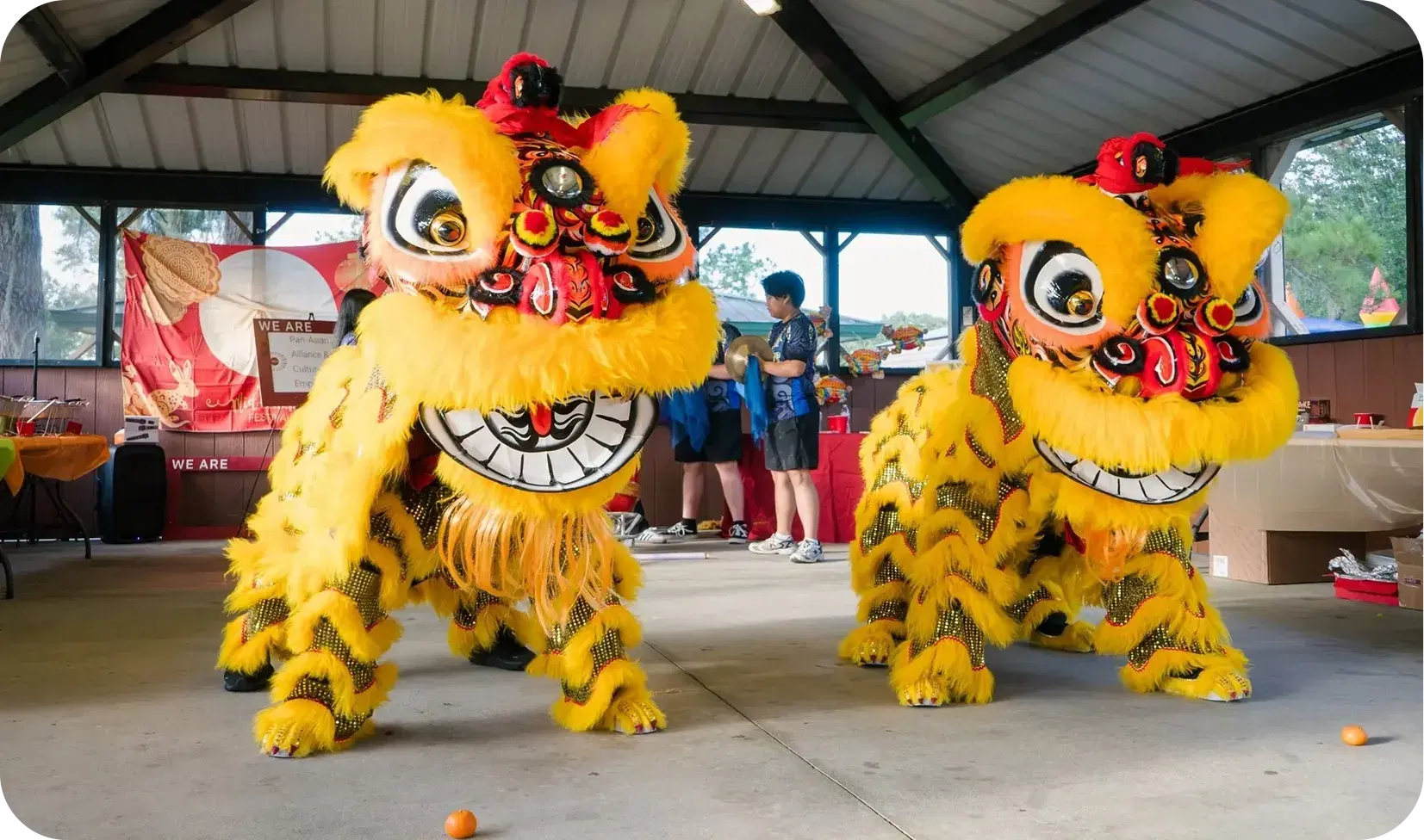 Golden Koi Lion Dance Association