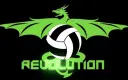 Revolution Volleyball Academy
