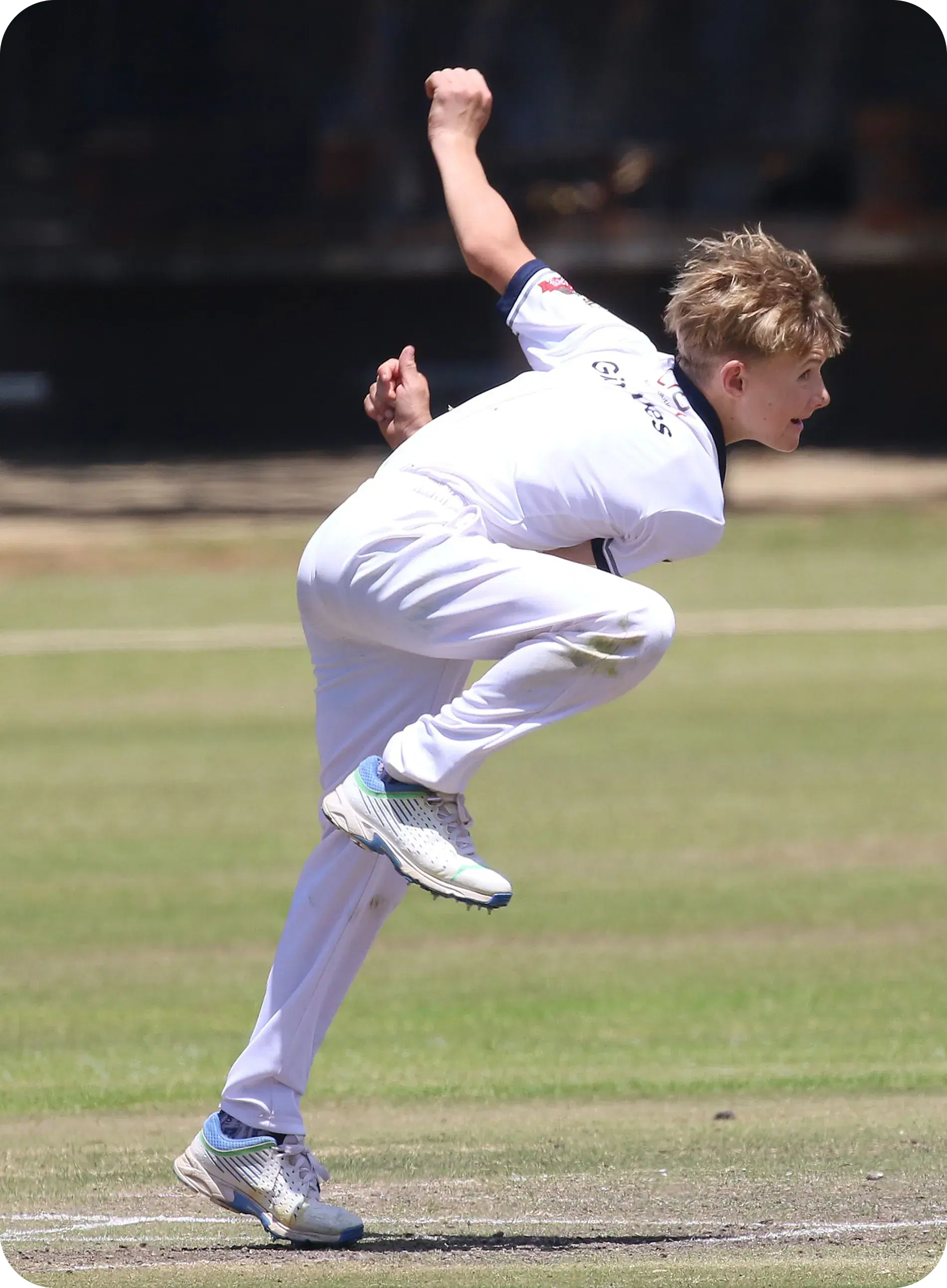 Cricket Action