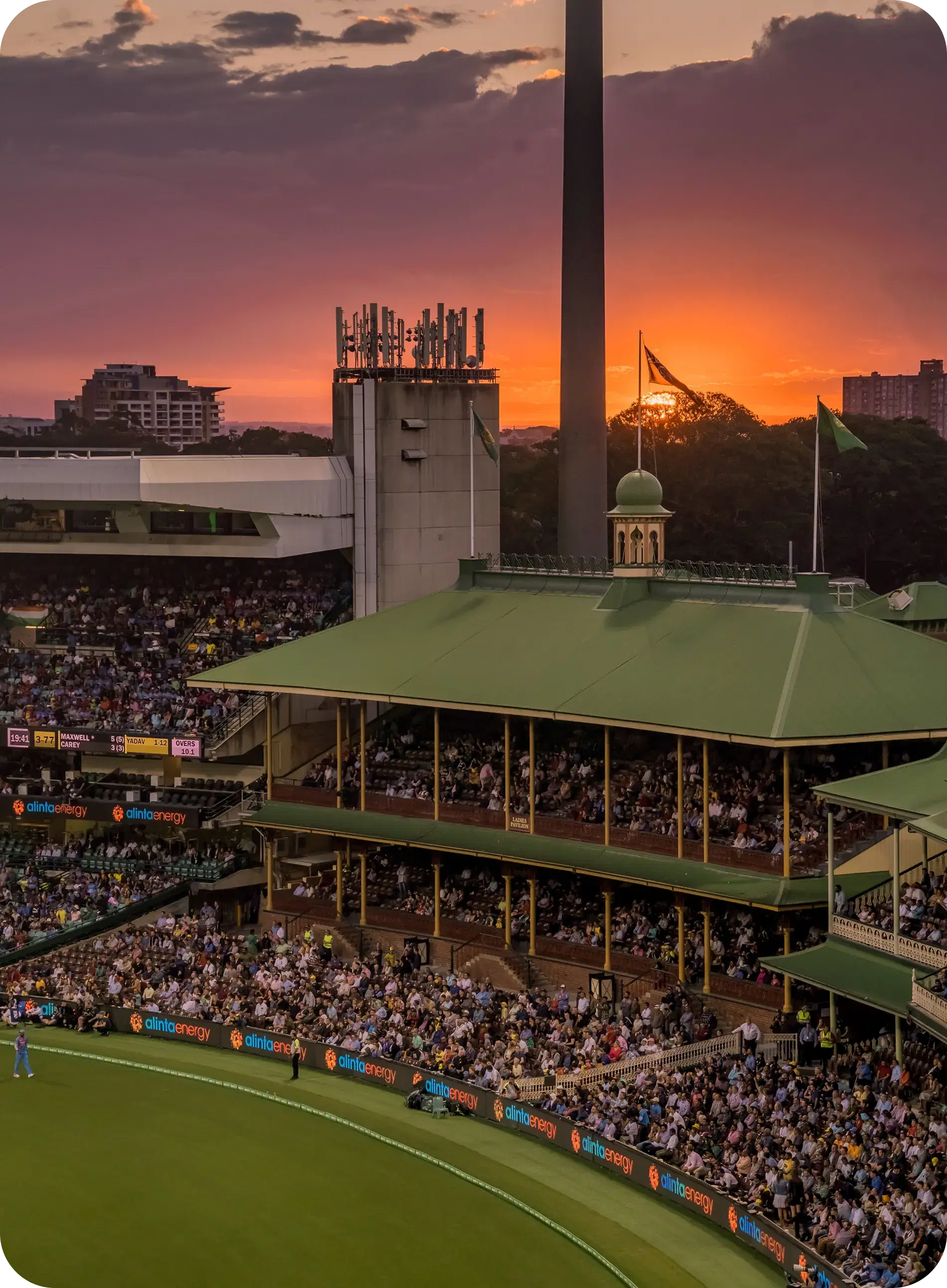 Cricket Action