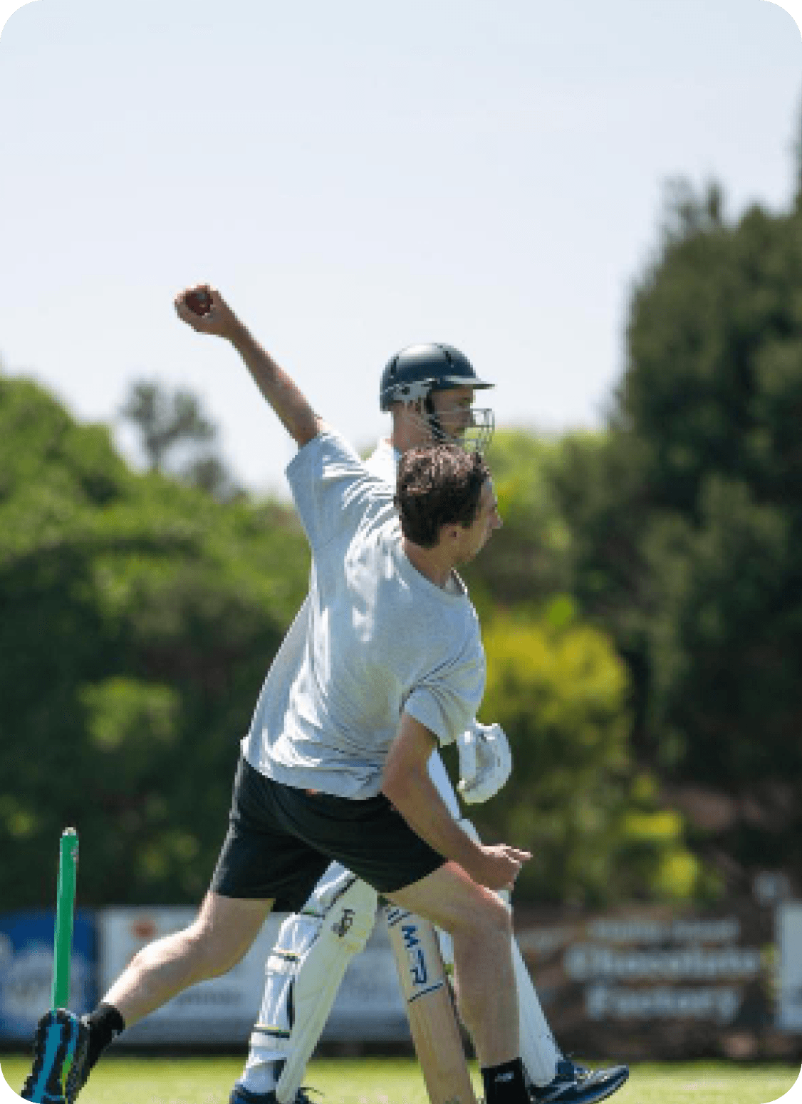 Cricket Action