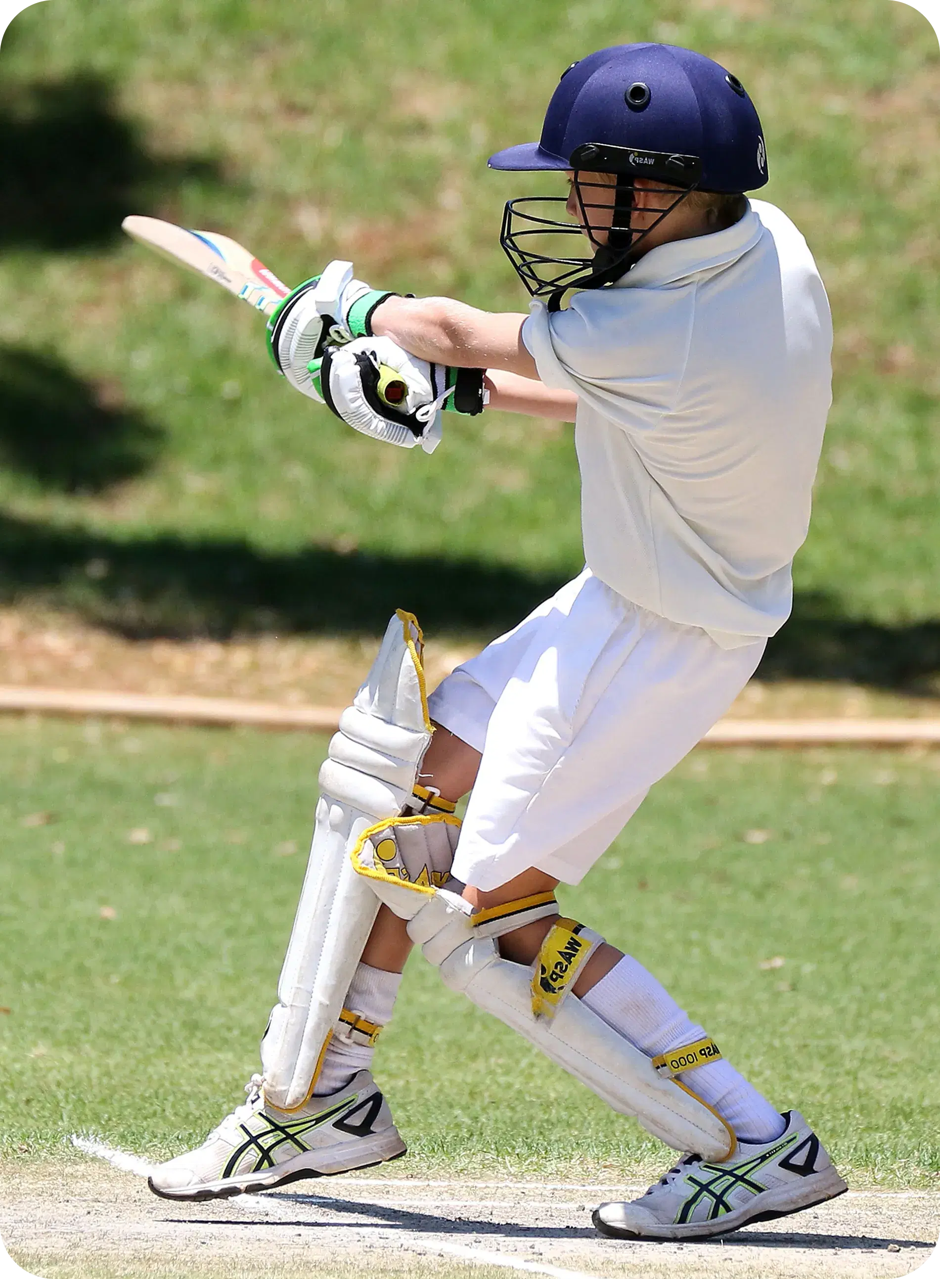 Cricket Action