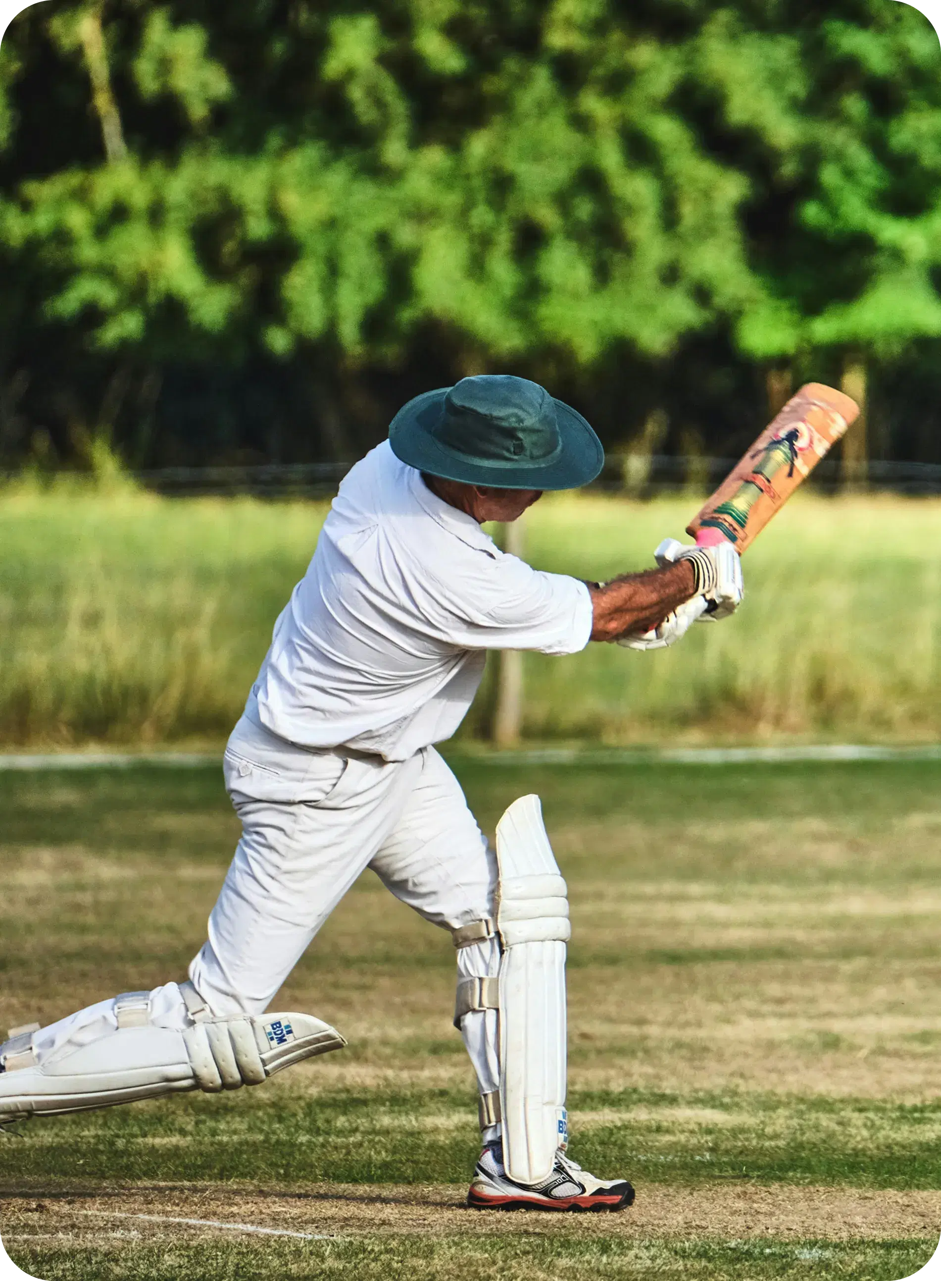 Cricket Action