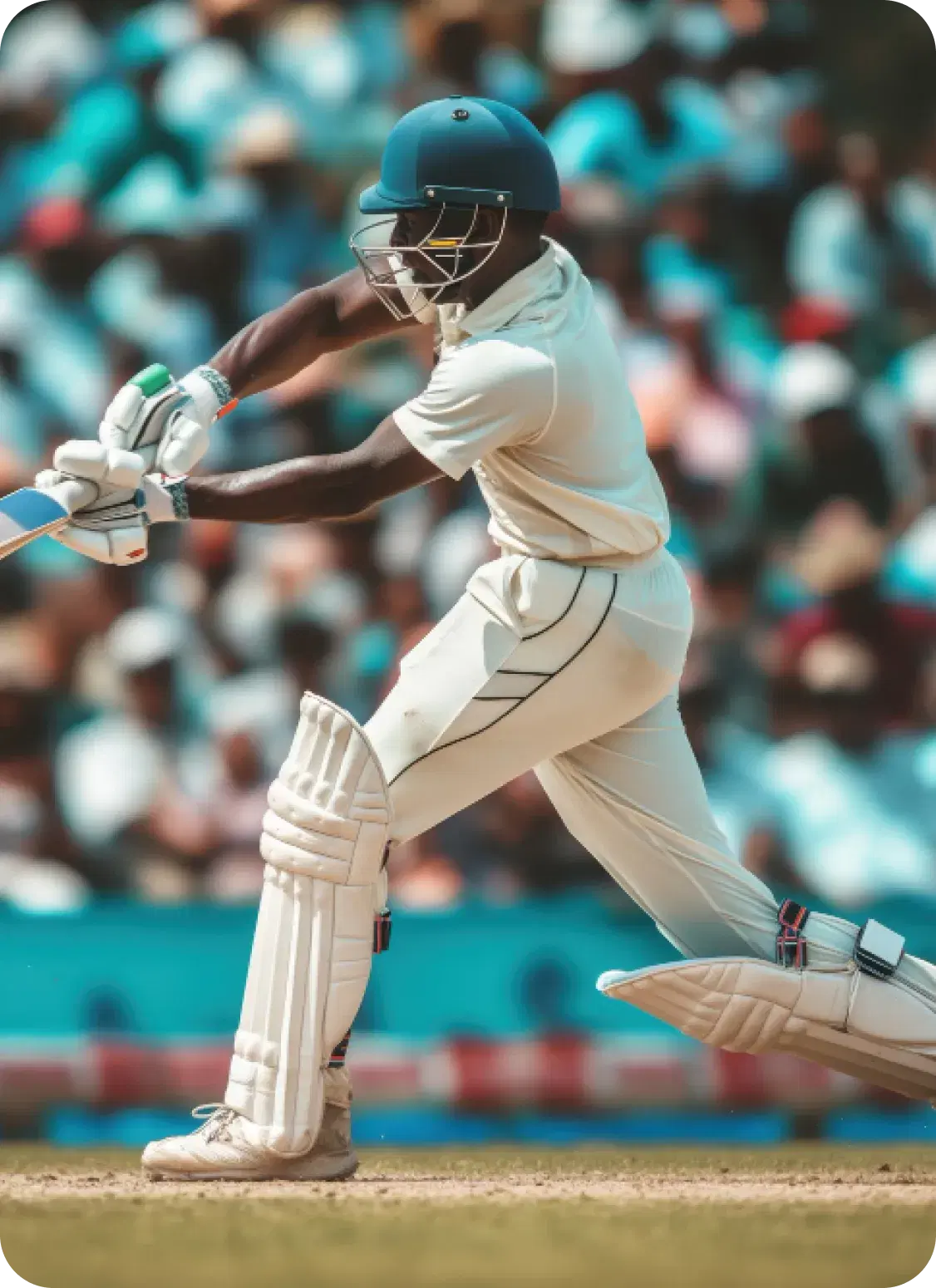 Cricket Action
