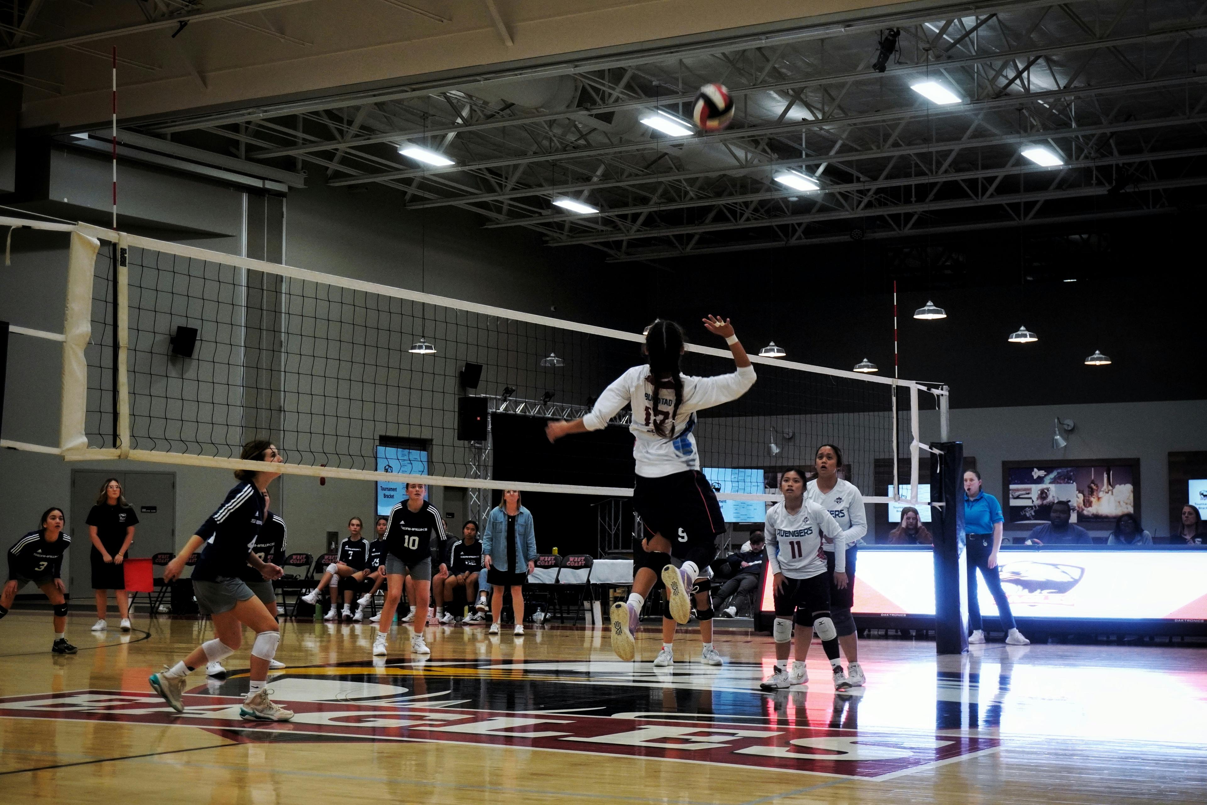 Best Volunteer Compliance Platform for Youth Volleyball Clubs in 2026